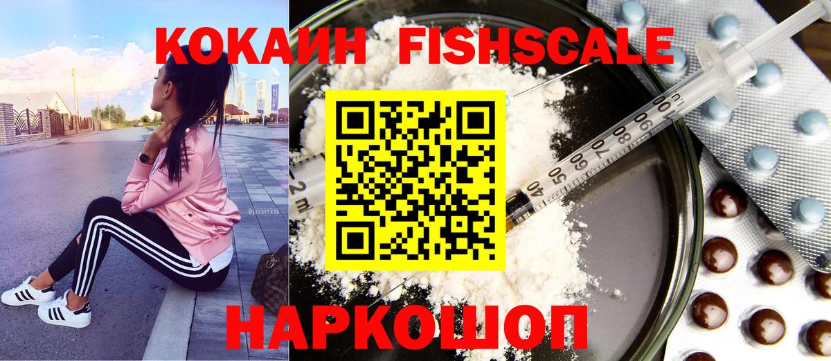 Cocaine Fish Scale  Cocaine Fish Scale  COCAIN  Вход с VPN  Астрахань 