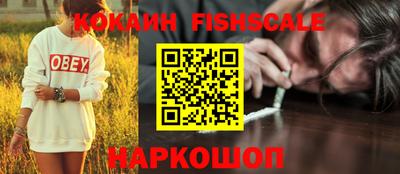 амф Сланцы