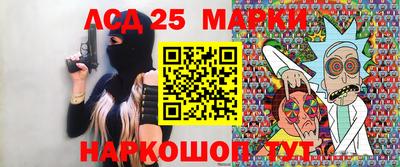 амф Сланцы