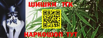 МДПВ Славгород