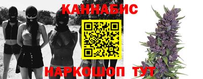 амф Сланцы