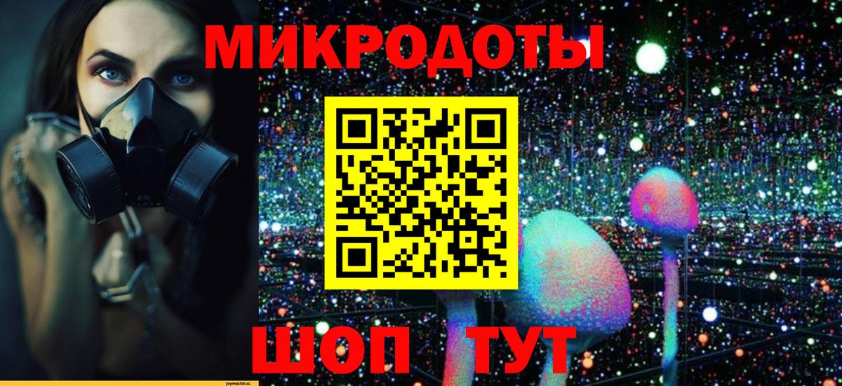 Псилоцибиновые грибы GOLDEN TEACHER  магазин продажи наркотиков  Галлюциногенные грибы Psilocybe  Астрахань  Вход с VPN 