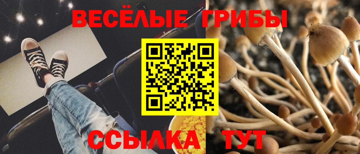 Галлюциногенные грибы Cubensis Астрахань